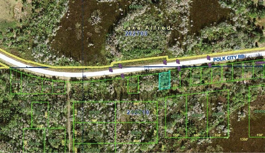 POLK CITY ROAD, Polk City, FL 33868