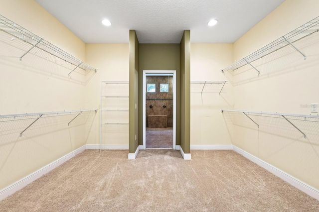 2522 TREE MEADOW LOOP, Apopka, FL 32712