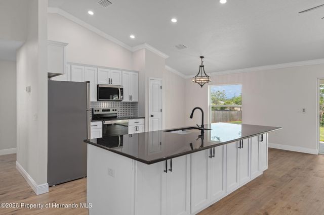 10128 Noddy Tern Road, Weeki Wachee, FL 34613