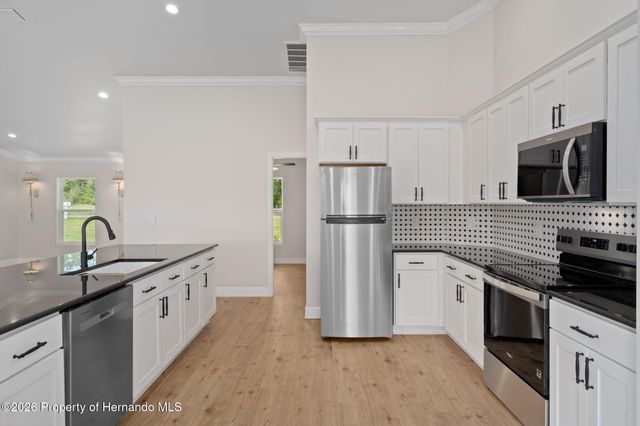 10128 Noddy Tern Road, Weeki Wachee, FL 34613