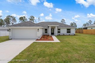 10128 Noddy Tern Road, Weeki Wachee, FL 34613