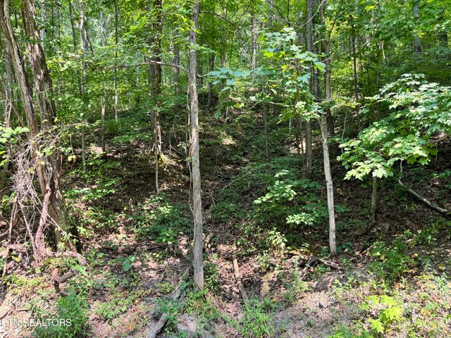 30 Holden Hollow, Jamestown, TN 38556