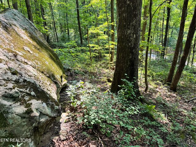 30 Holden Hollow, Jamestown, TN 38556