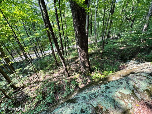 30 Holden Hollow, Jamestown, TN 38556