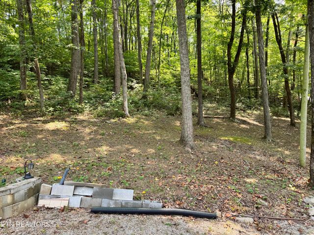 30 Holden Hollow, Jamestown, TN 38556