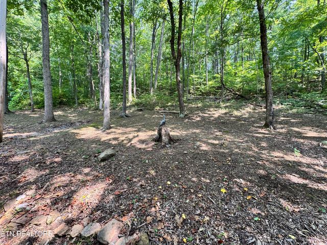 30 Holden Hollow, Jamestown, TN 38556