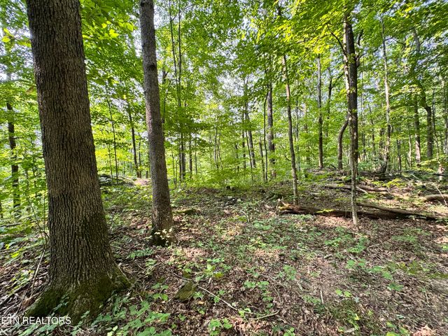 30 Holden Hollow, Jamestown, TN 38556