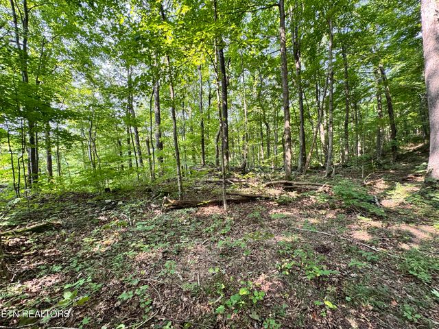 30 Holden Hollow, Jamestown, TN 38556