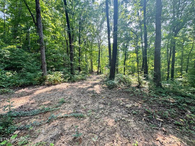 30 Holden Hollow, Jamestown, TN 38556