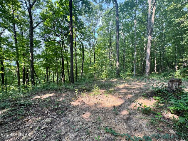 30 Holden Hollow, Jamestown, TN 38556