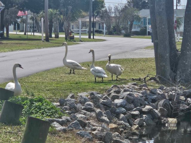 2098 Jacana Dr., Surfside Beach, SC 29575