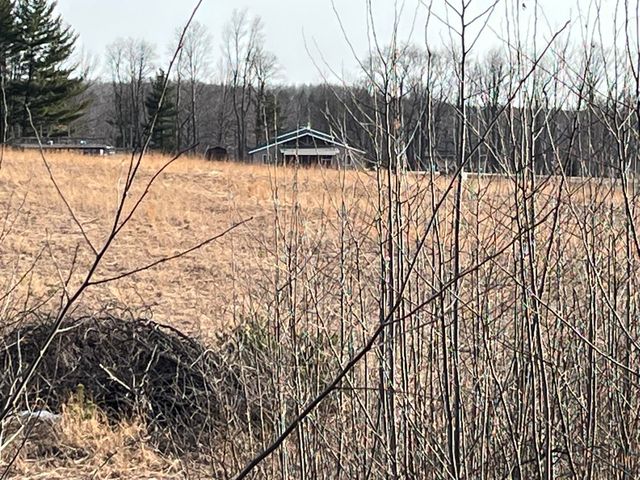 264 S 152nd Avenue - Cabin and 60 Acres, Ferry Twp, MI 49455