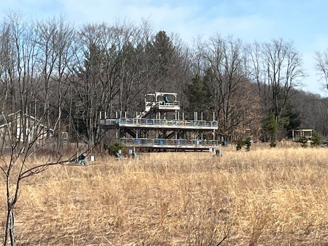 264 S 152nd Avenue - Cabin and 60 Acres, Ferry Twp, MI 49455