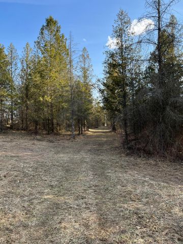 264 S 152nd Avenue - Cabin and 60 Acres, Ferry Twp, MI 49455