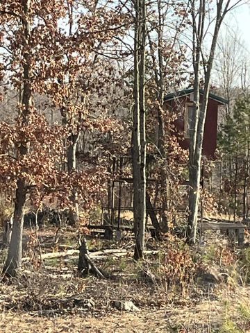 264 S 152nd Avenue - Cabin and 60 Acres, Ferry Twp, MI 49455