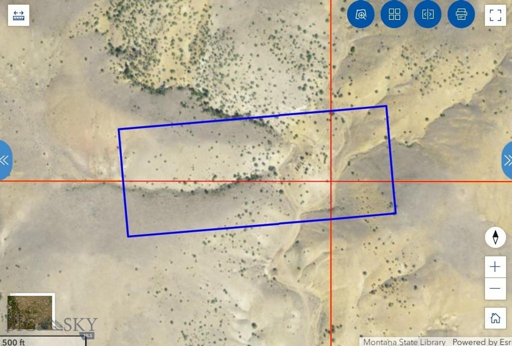 TBD Bayard Lode Survey No. 2169, Alder, MT 59710
