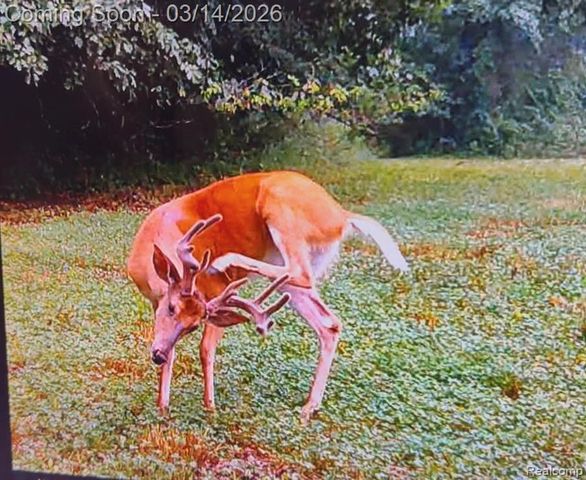 9800 Roberts Road, Gregory, MI 48137