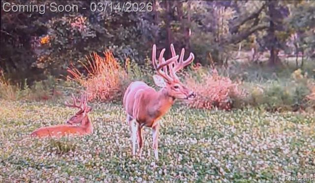 9800 Roberts Road, Gregory, MI 48137