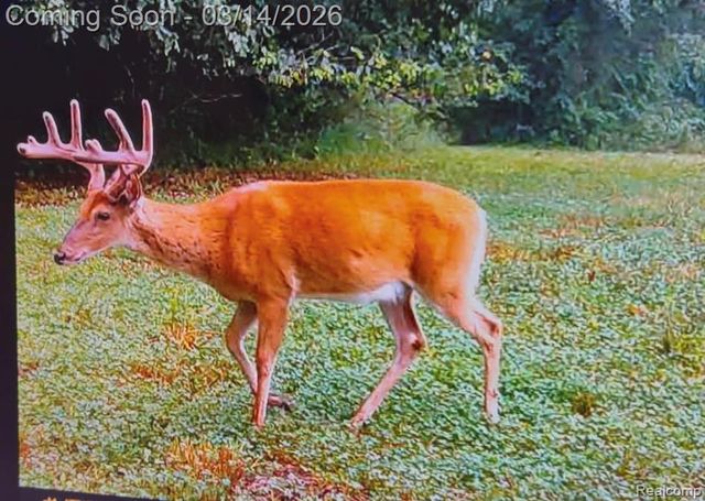 9800 Roberts Road, Gregory, MI 48137