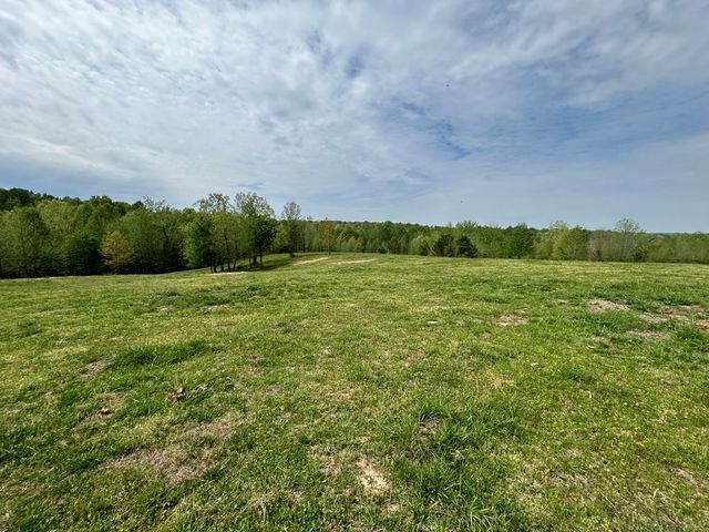 0 Elkhorn Rd, Springville, TN 38256