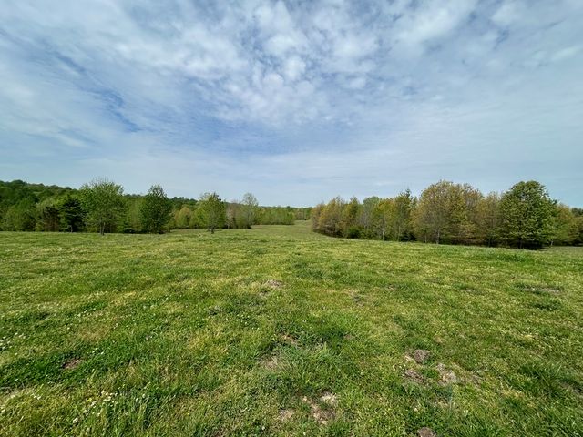0 Elkhorn Rd, Springville, TN 38256