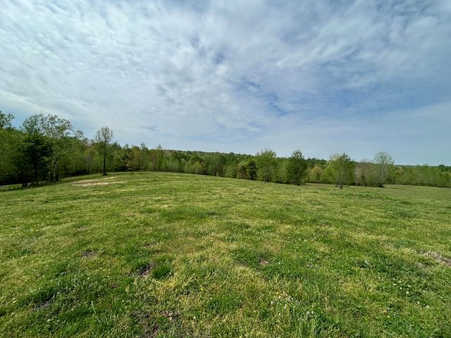 0 Elkhorn Rd, Springville, TN 38256