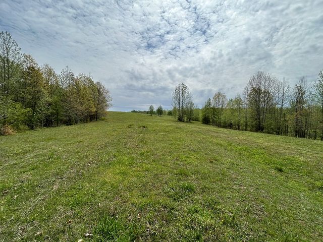 0 Elkhorn Rd, Springville, TN 38256