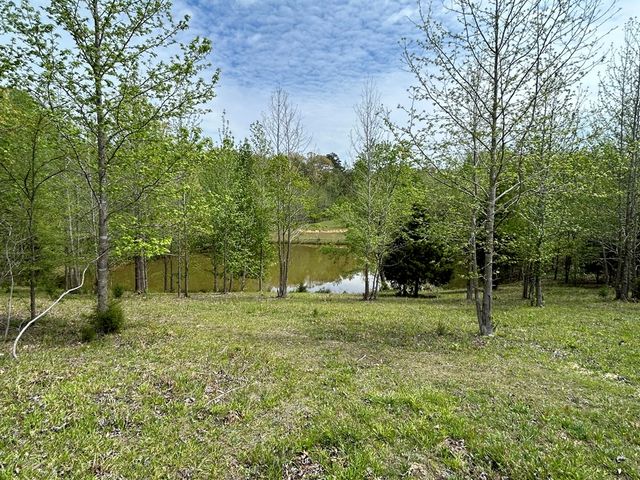 0 Elkhorn Rd, Springville, TN 38256