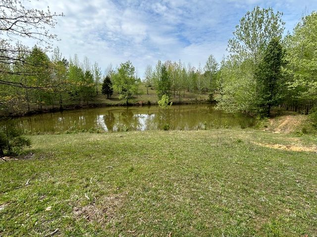 0 Elkhorn Rd, Springville, TN 38256