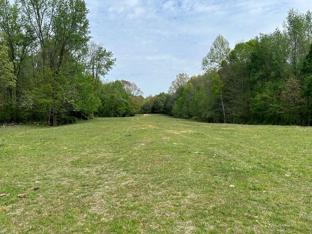 0 Elkhorn Rd, Springville, TN 38256