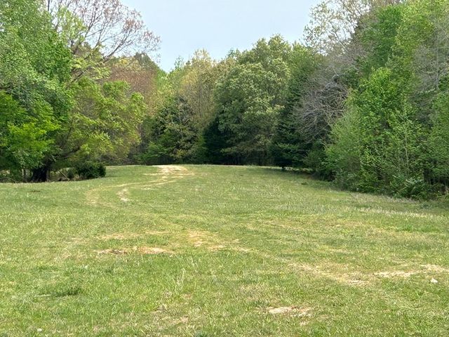 0 Elkhorn Rd, Springville, TN 38256