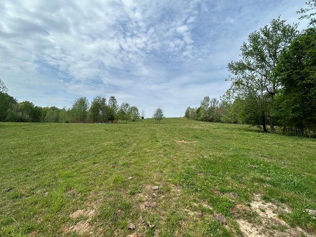 0 Elkhorn Rd, Springville, TN 38256
