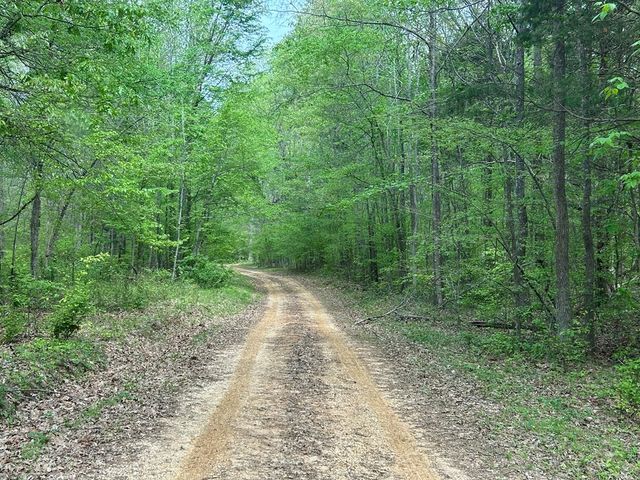 0 Elkhorn Rd, Springville, TN 38256