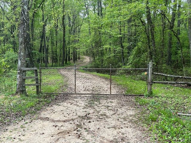 0 Elkhorn Rd, Springville, TN 38256