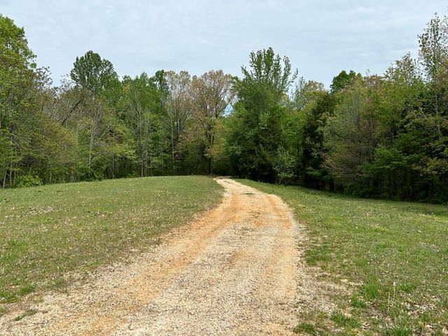 0 Elkhorn Rd, Springville, TN 38256