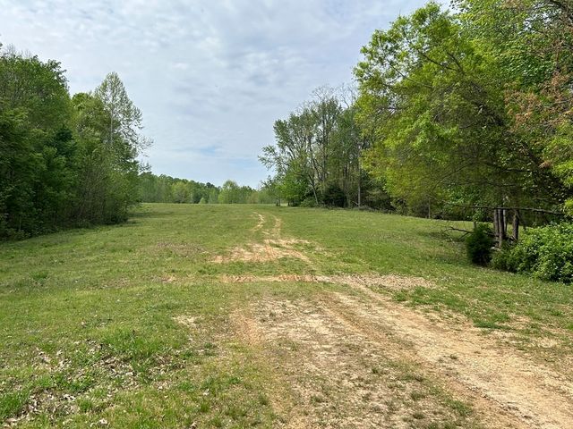 0 Elkhorn Rd, Springville, TN 38256
