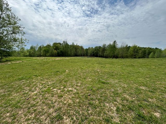 0 Elkhorn Rd, Springville, TN 38256
