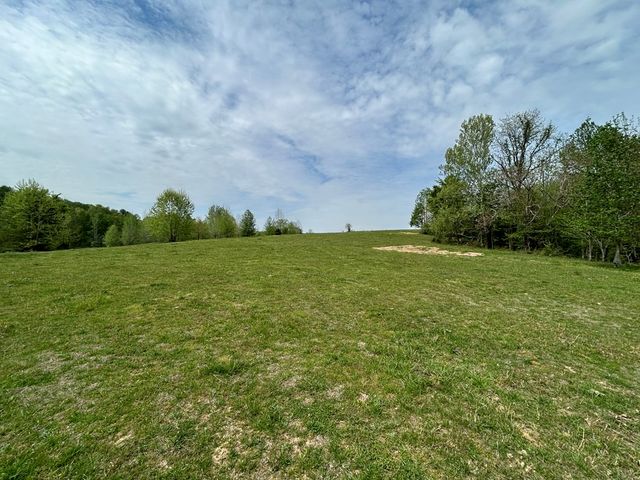 0 Elkhorn Rd, Springville, TN 38256
