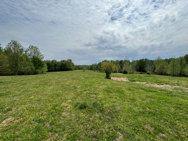 0 Elkhorn Rd, Springville, TN 38256
