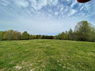 0 Elkhorn Rd, Springville, TN 38256