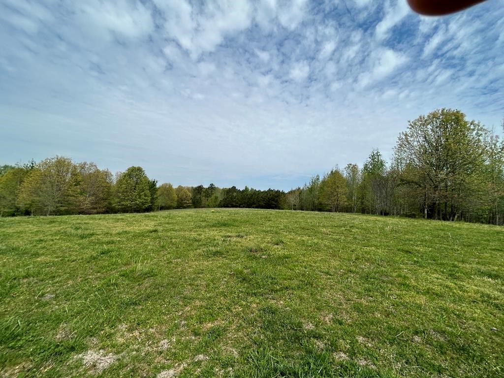 0 Elkhorn Rd, Springville, TN 38256