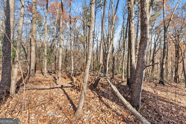 LOT 26 & 27 Spring Crest Road, Cleveland, GA 30528