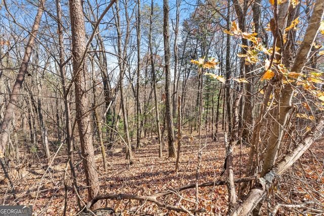 LOT 26 & 27 Spring Crest Road, Cleveland, GA 30528