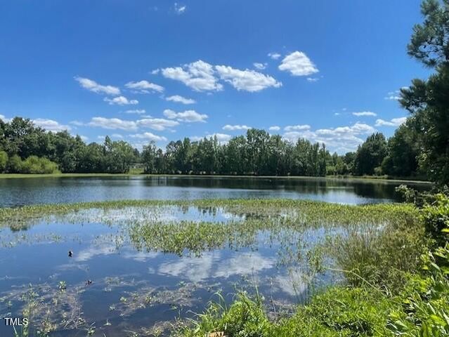 89 Jumper Street, Wendell, NC 27591