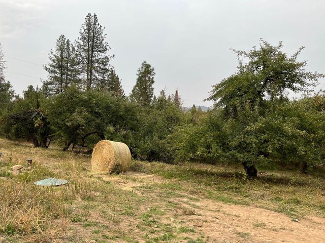 5344 Happy Hill Rd, Tumtum, WA 99034