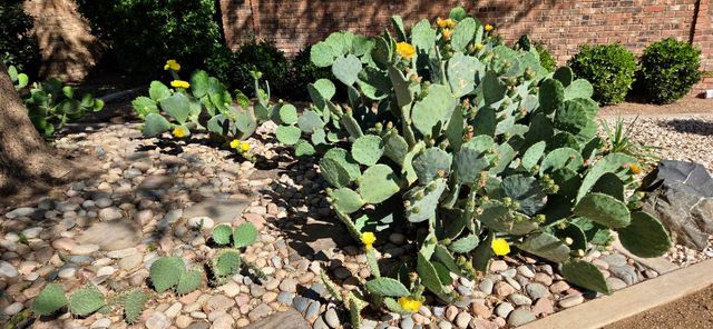 5107 1st Place, Lubbock, TX 79416