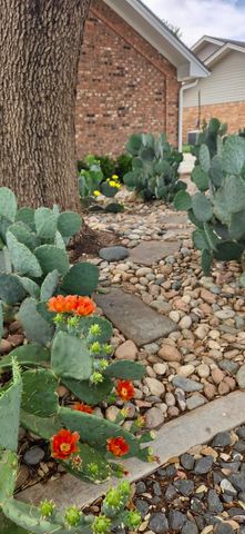 5107 1st Place, Lubbock, TX 79416