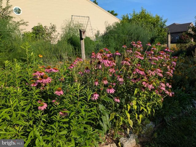 14500 CEDARBROOK DRIVE DR, Greencastle, PA 17225