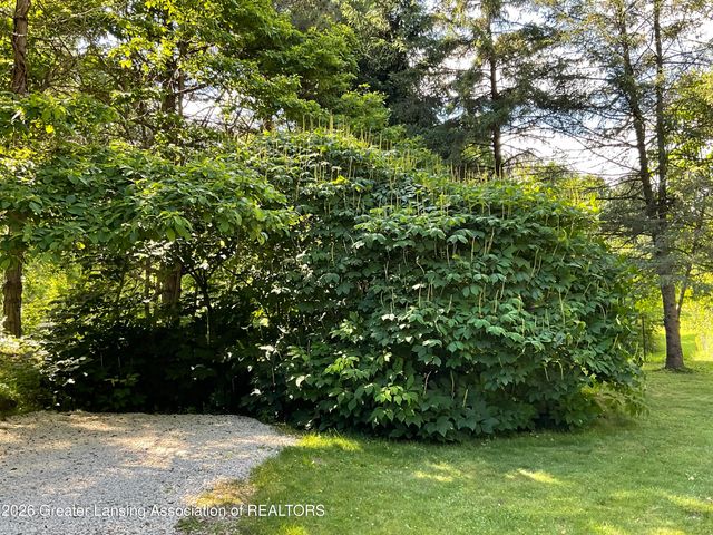 6845 S Ainger Road, Olivet, MI 49076