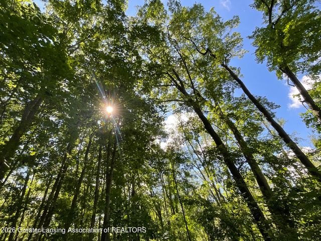 6845 S Ainger Road, Olivet, MI 49076